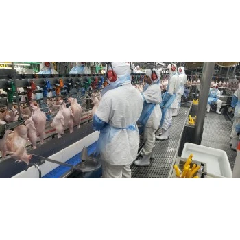 Análise de Risco no Trabalho em Higienópolis